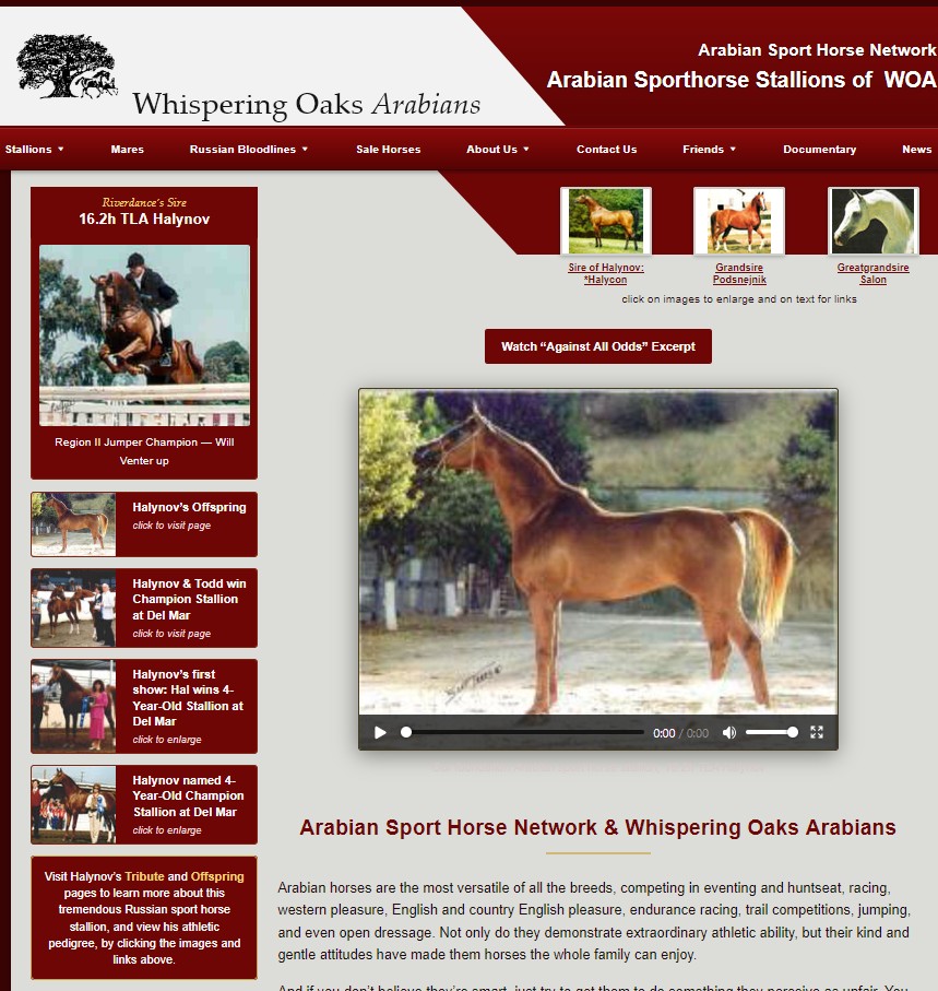 Arabian Sporthorse website landing page